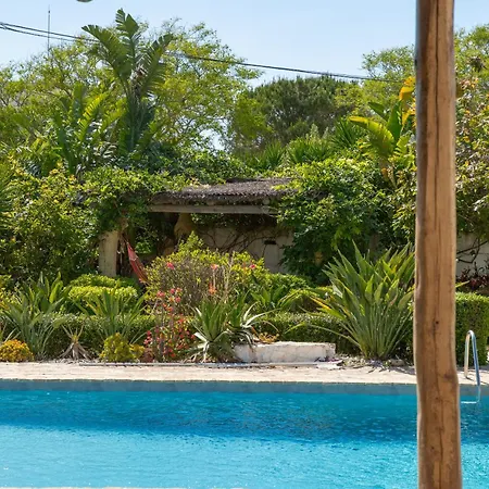 ヴィラ Beachside Oasis With Pool & Garden *